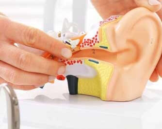Audiologist Bexhill Hearing Centre