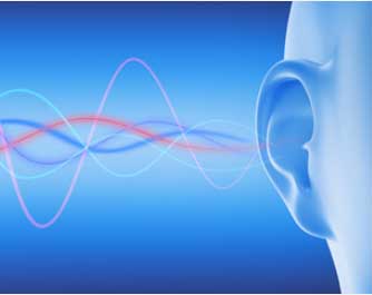 Audiologist Charnwood Hearing Aid Centre Ltd