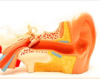 Audiologist Bexhill Hearing Centre