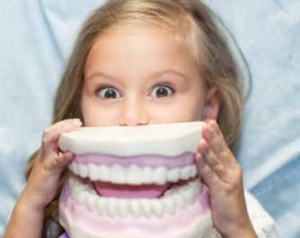 Dentist Dentist
