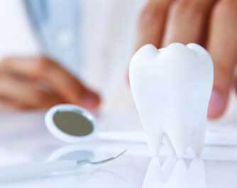 Dentist Dentist
