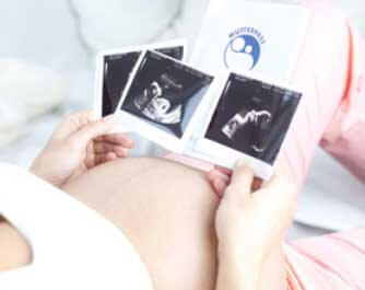 Midwife Independent Midwives